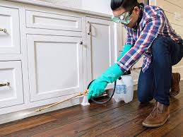 Real Estate Pest Inspections in Green Tree, PA